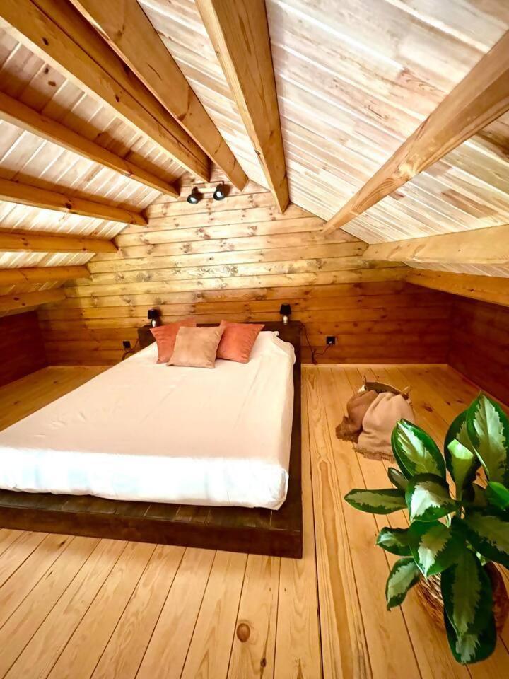 Hotel Mountain Eco Shelter 3 Corujeira de Dentro Exteriér fotografie